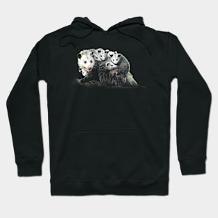 Whisker Wonderland Opossum Dreams, Tee Talk Triumph for Nature Devotees Hoodie